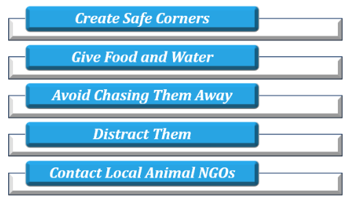 safe diwali for animals