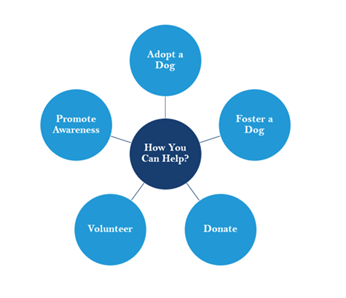 dog shelter in noida