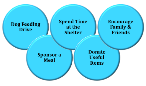 dog shelter in noida