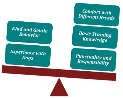 signs of a good dog walker