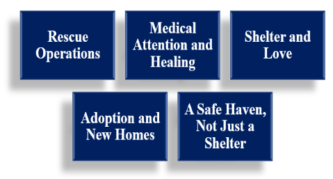 Ngo for voiceless in noida