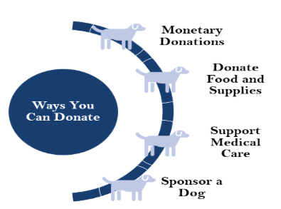 dog shelter in noida