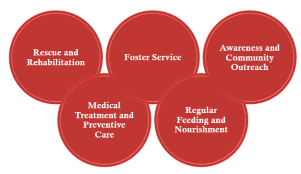 best animal shelter in noida