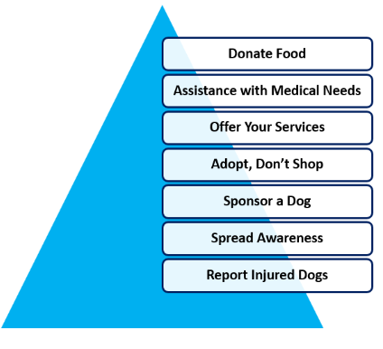 Dog Shelter in Noida