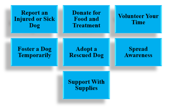 stray dog rescue