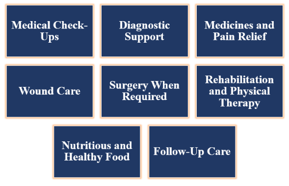 Treatment Therapies for Animal Health