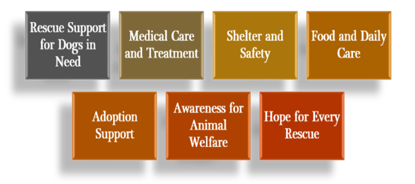 Best Dog Shelter in Noida