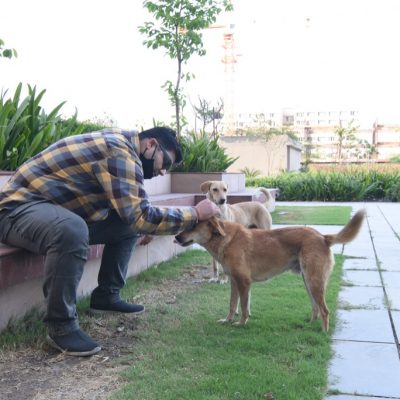 WhatsApp Image 2021-04-02 at 9.37.15 PM (1)