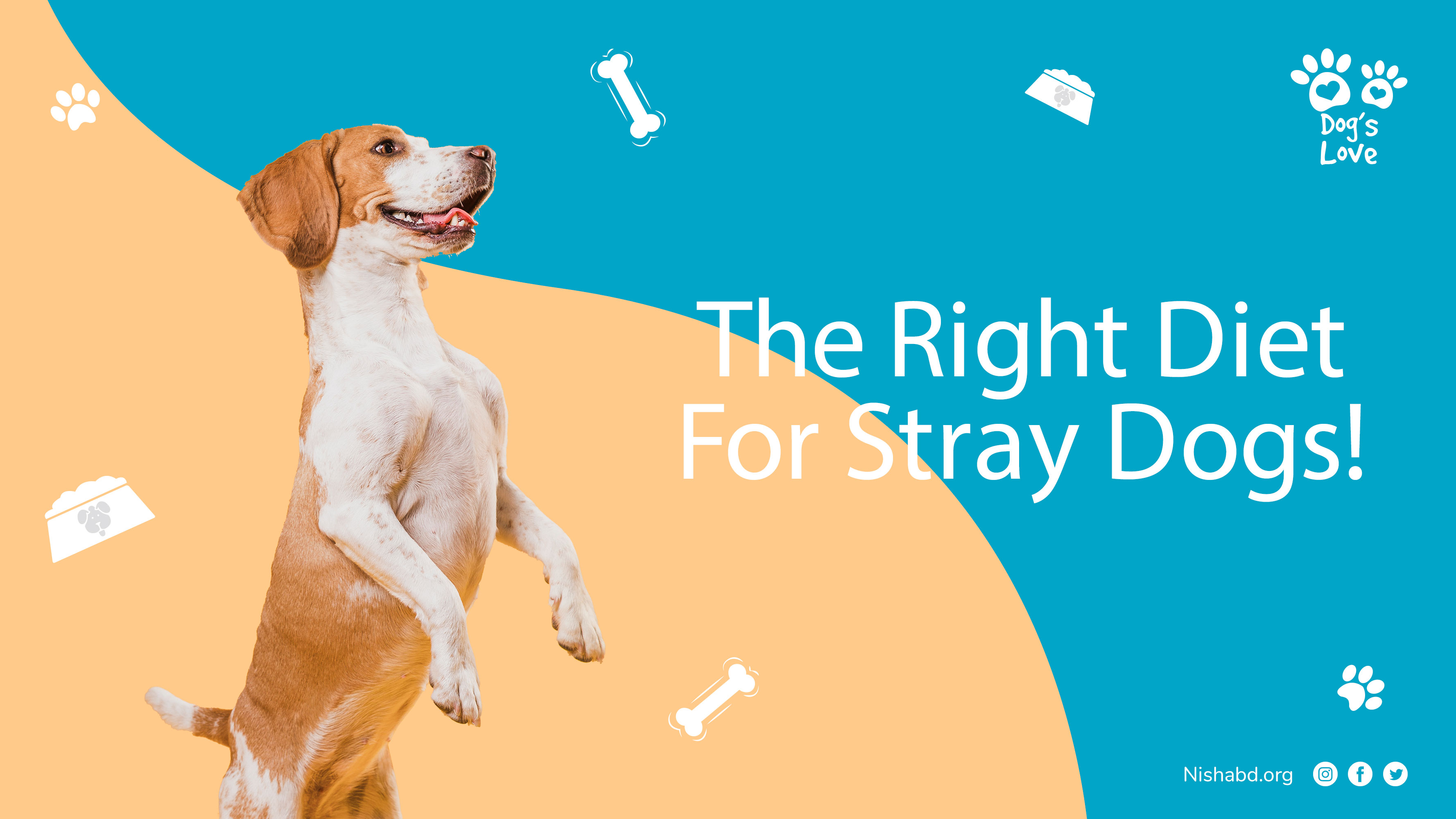 Diet For Stray Dogs
