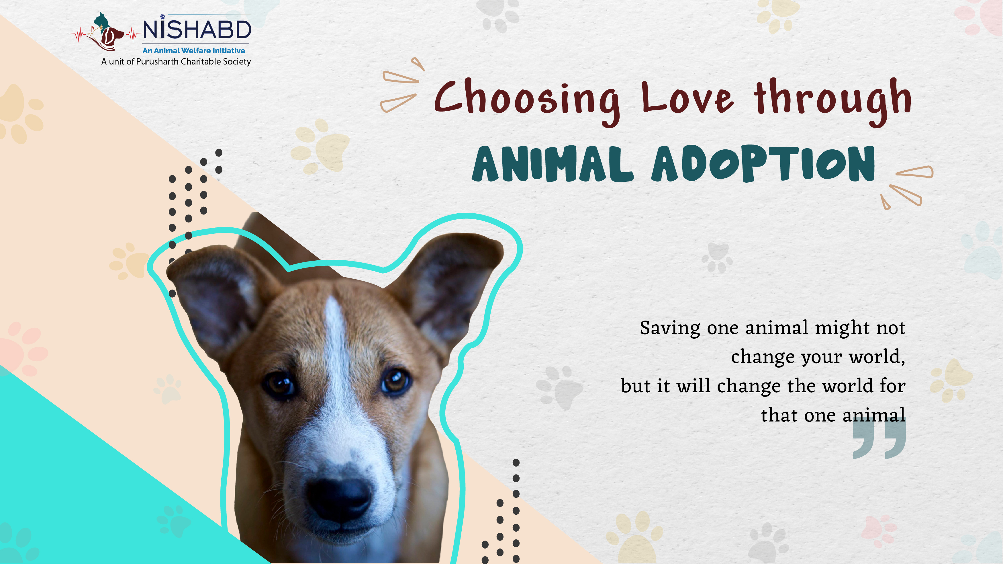 Animal Adoption