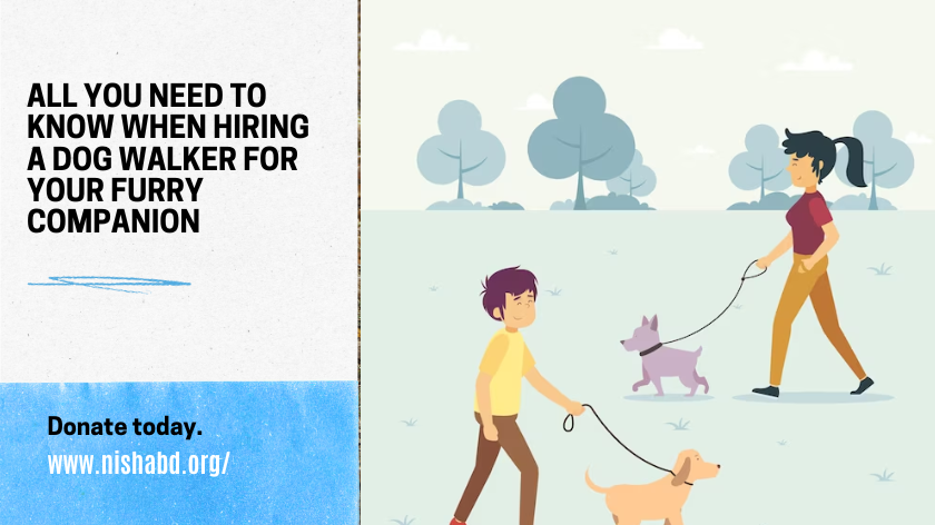 All You Need to Know When Hiring a Dog Walker