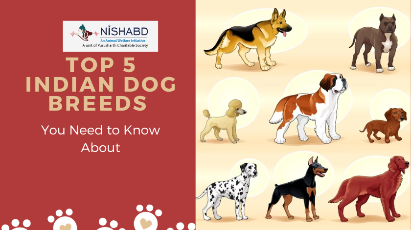 Indian dog breeds