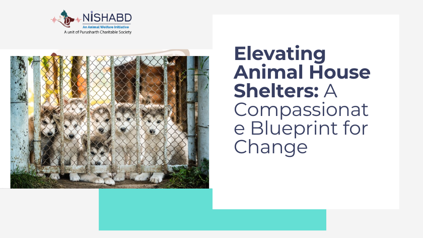animal house shelters