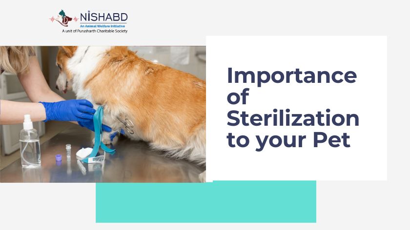 importance of sterilization