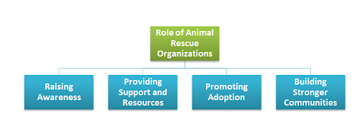 Role of Animal Rescue Organizations