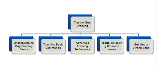 Tips for Training Your Dog