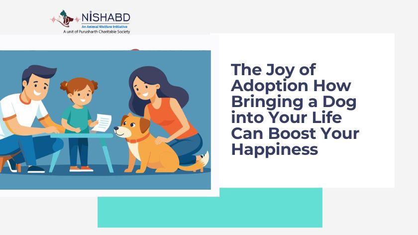 How to Adopt a Dog into Your Life Can Boost Your Happiness?