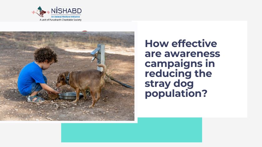 How effective are awareness campaigns in reducing the stray dog population?