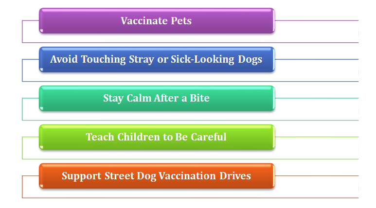 prevent rabies in india