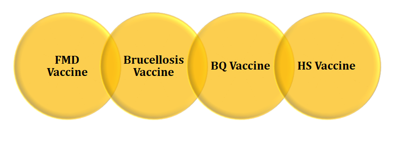 VACCINES FOR COWS