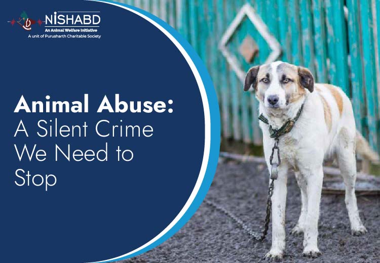 Animal abuse