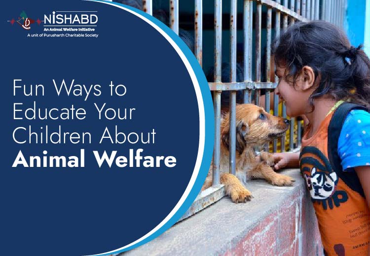 Fun Ways to Educate Your Children About Animal Welfare