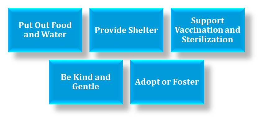 how to help stray animals