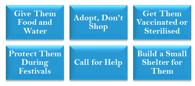 Top Animal Shelters in Noida