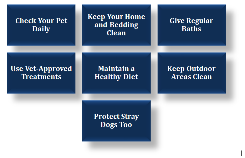 symptoms of tick fever