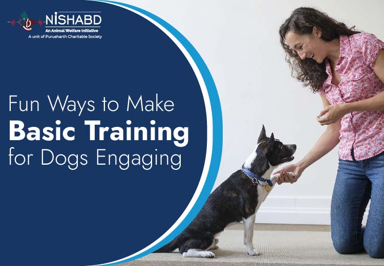 Dog training