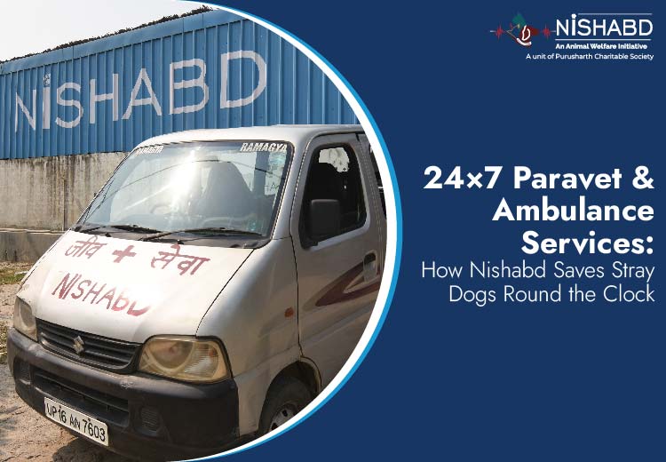 24×7 Paravet and Ambulance Service