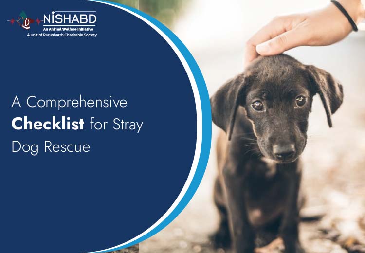 rescue a dog