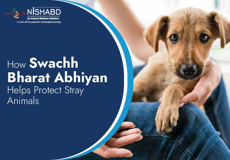 Swachh Bharat Abhiyan
