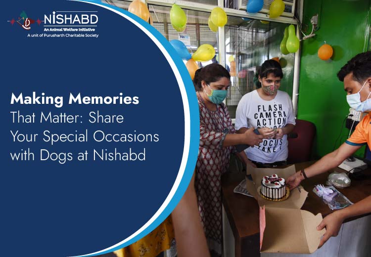 celebrate birthday in a unique way