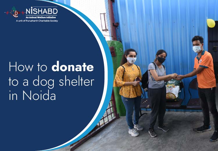 dog shelter in noida