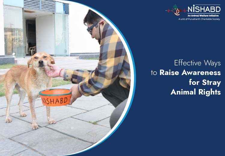 animal ngo in noida