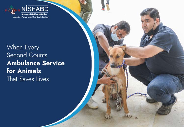 ambulance service for animals
